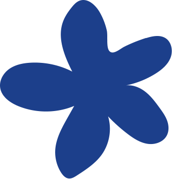 star5